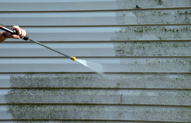Best House Exterior Washing  in Dover, TN
